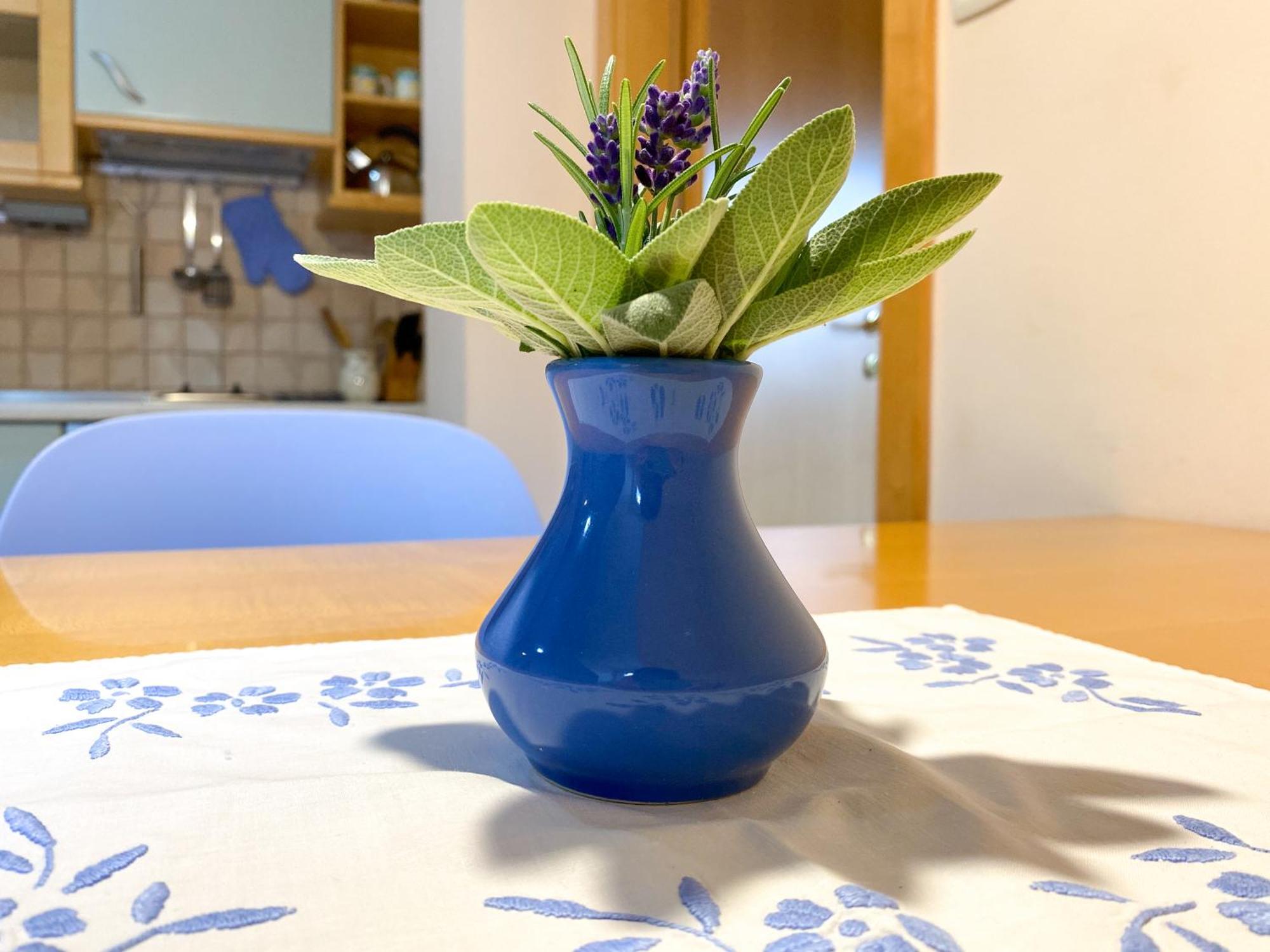 בובק Apartments Alpha Center מראה חיצוני תמונה